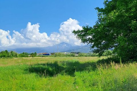 Villa a Pietrasanta, Lucca, Pietrasanta - € 900.000 | Ref: CBI129-2906-130488 - foto 8