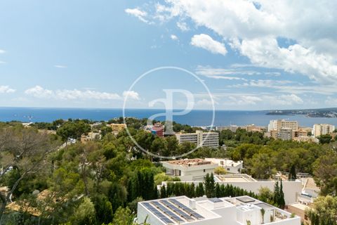 Villa a Calvia, Mallorca, Calvia - € 10.900.000 | Ref: VPM2505013 - foto 37