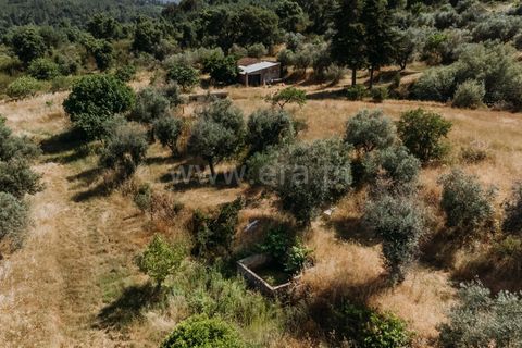 Landejendom i Fundao, Castelo Branco, Fundao - € 78.500 | Ref: 255250090 - foto 3