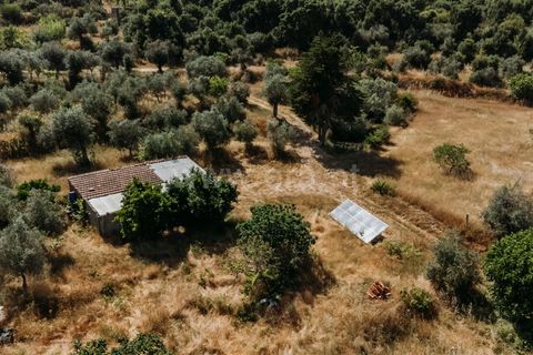 Landejendom i Fundao, Castelo Branco, Fundao - € 78.500 | Ref: 255250090 - foto 5