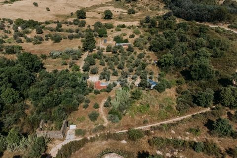 Landejendom i Fundao, Castelo Branco, Fundao - € 78.500 | Ref: 255250090 - foto 7