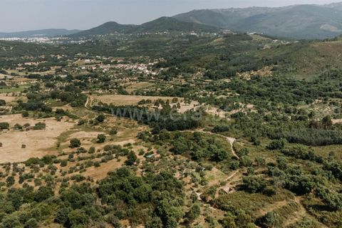 Landejendom i Fundao, Castelo Branco, Fundao - € 78.500 | Ref: 255250090 - foto 9