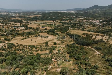 Landejendom i Fundao, Castelo Branco, Fundao - € 78.500 | Ref: 255250090 - foto 11