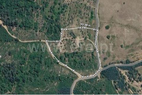 Landejendom i Fundao, Castelo Branco, Fundao - € 78.500 | Ref: 255250090 - foto 12