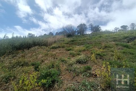 Erhvervsejendom i Calheta, Madeira, Calheta - € 140.000 | Ref: HH_2500MD25 - foto 21