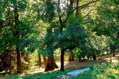 Villa i Murazzano, Cuneo, Murazzano - € 1.180.000 | Ref: ALN022 - foto 22