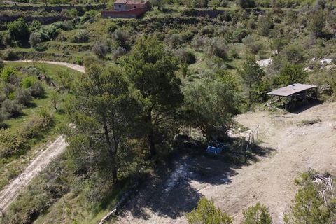 Terra a Confrides, Alicante, Confrides - € 28.000 | Ref: 6440 - foto 12