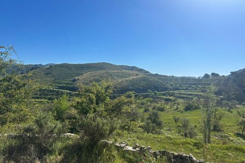 Terra a Confrides, Alicante, Confrides - € 28.000 | Ref: 6440 - foto 18
