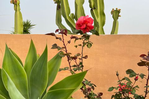 Landejendom i Almunecar, Granada, Almunecar - € 495.000 | Ref: PSRE-F1191 - foto 44