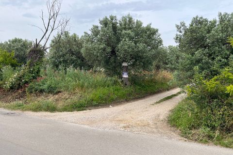 Helårsgrund i Vasto, Chieti, Vasto - € 36.900 | Ref: 5330 - foto 1