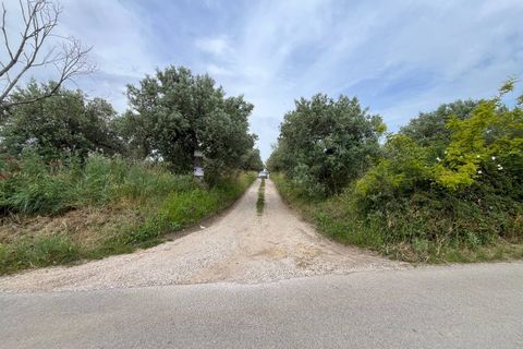 Helårsgrund i Vasto, Chieti, Vasto - € 36.900 | Ref: 5330 - foto 3