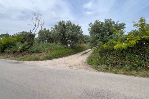 Helårsgrund i Vasto, Chieti, Vasto - € 36.900 | Ref: 5330 - foto 5