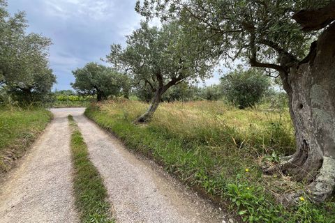 Helårsgrund i Vasto, Chieti, Vasto - € 36.900 | Ref: 5330 - foto 6