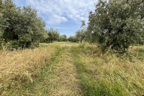 Helårsgrund i Vasto, Chieti, Vasto - € 36.900 | Ref: 5330 - foto 7