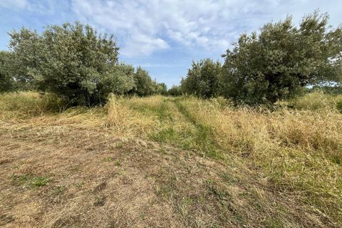 Helårsgrund i Vasto, Chieti, Vasto - € 36.900 | Ref: 5330 - foto 8