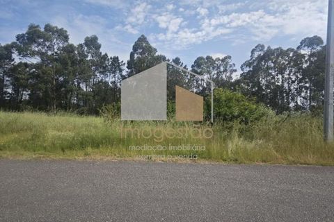 Helårsgrund i Valenca, Viana do Castelo, Valenca - € 45.000 | Ref: TER_1023 - foto 5