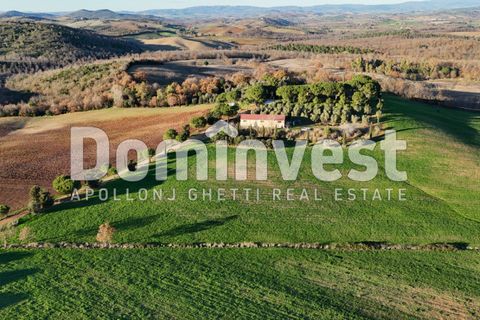 Landejendom i Capalbio, Grosseto, Capalbio - € 4.000.000 | Ref: V-0011 - foto 2