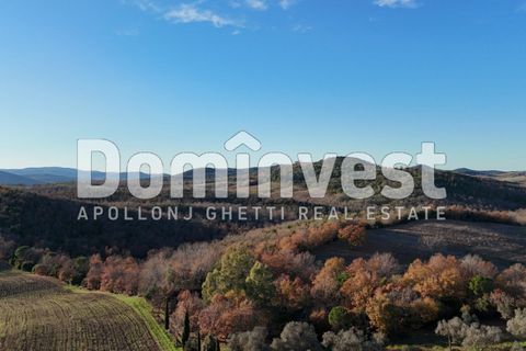 Landejendom i Capalbio, Grosseto, Capalbio - € 4.000.000 | Ref: V-0011 - foto 6