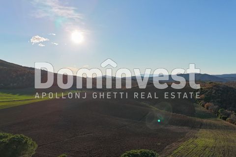 Landejendom i Capalbio, Grosseto, Capalbio - € 4.000.000 | Ref: V-0011 - foto 7