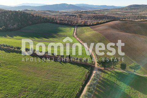 Landejendom i Capalbio, Grosseto, Capalbio - € 4.000.000 | Ref: V-0011 - foto 11