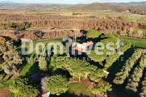 Landejendom i Capalbio, Grosseto, Capalbio - € 4.000.000 | Ref: V-0011 - foto 15