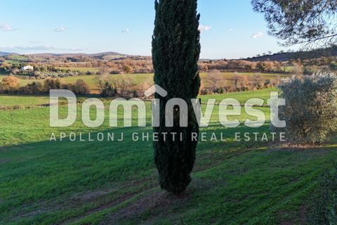 Landejendom i Capalbio, Grosseto, Capalbio - € 4.000.000 | Ref: V-0011 - foto 22