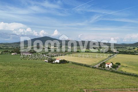 Landejendom i Capalbio, Grosseto, Capalbio - € 1.500.000 | Ref: V-0076 - foto 13