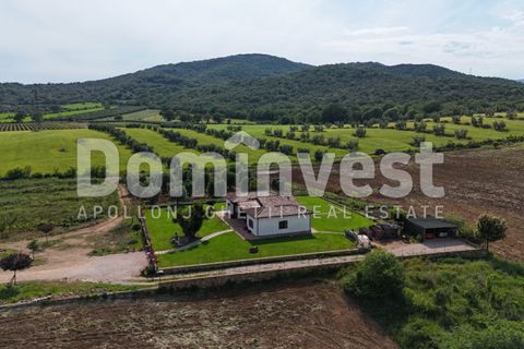 Landejendom i Capalbio, Grosseto, Capalbio - € 1.500.000 | Ref: V-0076 - foto 14