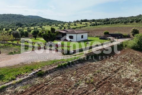 Landejendom i Capalbio, Grosseto, Capalbio - € 1.500.000 | Ref: V-0076 - foto 15
