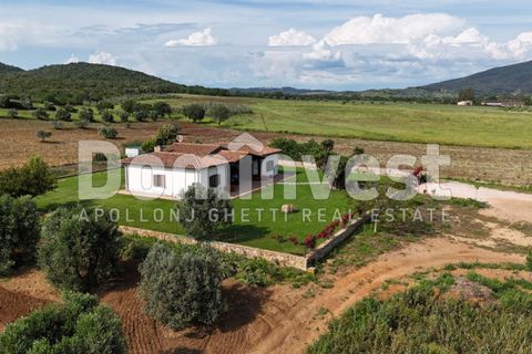 Landejendom i Capalbio, Grosseto, Capalbio - € 1.500.000 | Ref: V-0076 - foto 16