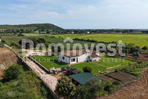 Landejendom i Capalbio, Grosseto, Capalbio - € 1.500.000 | Ref: V-0076 - foto 17
