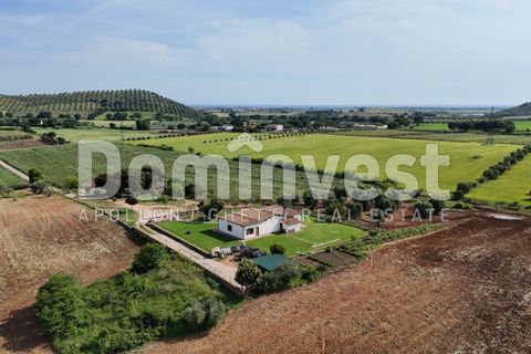 Landejendom i Capalbio, Grosseto, Capalbio - € 1.500.000 | Ref: V-0076 - foto 18