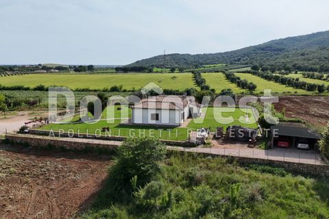 Landejendom i Capalbio, Grosseto, Capalbio - € 1.500.000 | Ref: V-0076 - foto 19