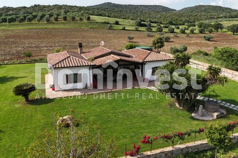 Landejendom i Capalbio, Grosseto, Capalbio - € 1.500.000 | Ref: V-0076 - foto 20