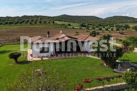 Landejendom i Capalbio, Grosseto, Capalbio - € 1.500.000 | Ref: V-0076 - foto 21