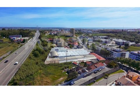 Helårsgrund i Tavarede, Coimbra, Tavarede - € 62.000 | Ref: HMSÒL_21 - foto 25