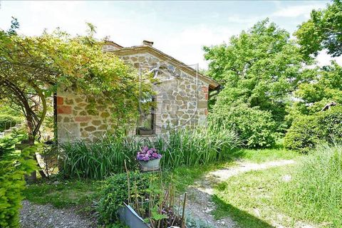 Landejendom i Trequanda, Siena, Trequanda - € 680.000 | Ref: 120 - foto 12