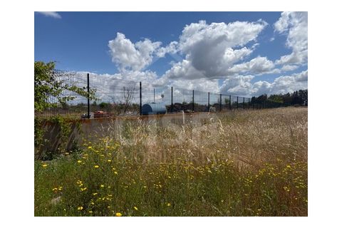 Terra a Samora Correia, Santarem, Samora Correia - € 1.950.000 | Ref: 501.2508 - foto 6