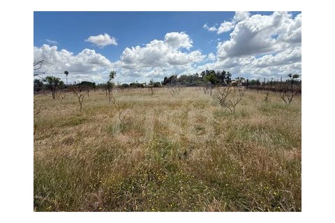 Terra a Samora Correia, Santarem, Samora Correia - € 1.950.000 | Ref: 501.2508 - foto 7