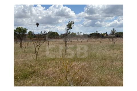 Terra a Samora Correia, Santarem, Samora Correia - € 1.950.000 | Ref: 501.2508 - foto 8