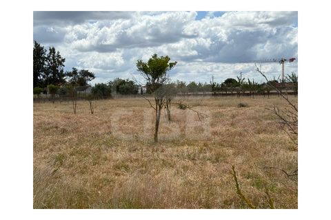 Terra a Samora Correia, Santarem, Samora Correia - € 1.950.000 | Ref: 501.2508 - foto 9
