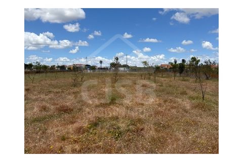 Terra a Samora Correia, Santarem, Samora Correia - € 1.950.000 | Ref: 501.2508 - foto 10