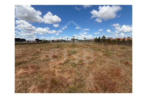 Terra a Samora Correia, Santarem, Samora Correia - € 1.950.000 | Ref: 501.2508 - foto 11