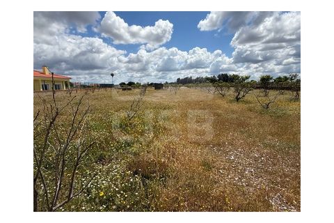 Terra a Samora Correia, Santarem, Samora Correia - € 1.950.000 | Ref: 501.2508 - foto 12