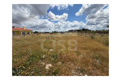 Terra a Samora Correia, Santarem, Samora Correia - € 1.950.000 | Ref: 501.2508 - foto 13
