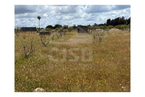 Terra a Samora Correia, Santarem, Samora Correia - € 1.950.000 | Ref: 501.2508 - foto 14