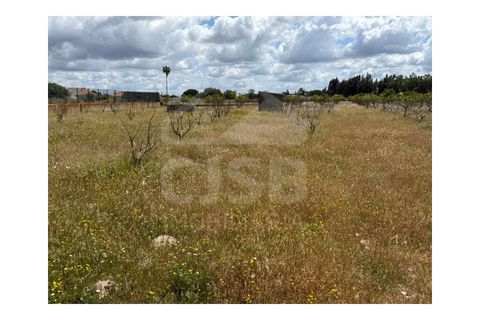 Terra a Samora Correia, Santarem, Samora Correia - € 1.950.000 | Ref: 501.2508 - foto 15