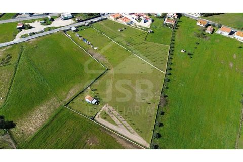 Terra a Samora Correia, Santarem, Samora Correia - € 1.950.000 | Ref: 501.2508 - foto 3