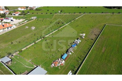 Terra a Samora Correia, Santarem, Samora Correia - € 1.950.000 | Ref: 501.2508 - foto 5