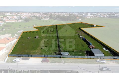 Terra a Samora Correia, Santarem, Samora Correia - € 1.950.000 | Ref: 501.2508 - foto 2